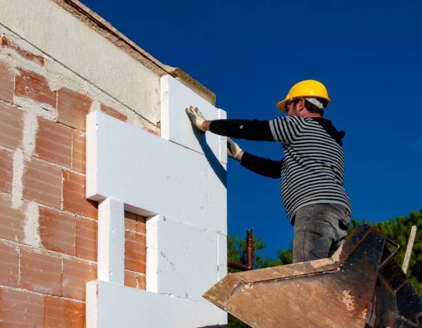 Best Cellulose Insulation  in Bradenton, FL