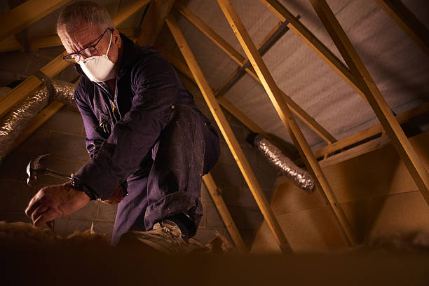 Best Insulation Contractor Near Me  in Bradenton, FL